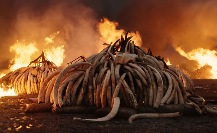 La fin du monde en&nbsp;IMAX